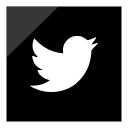 1462472655_social_media_logo_twitter